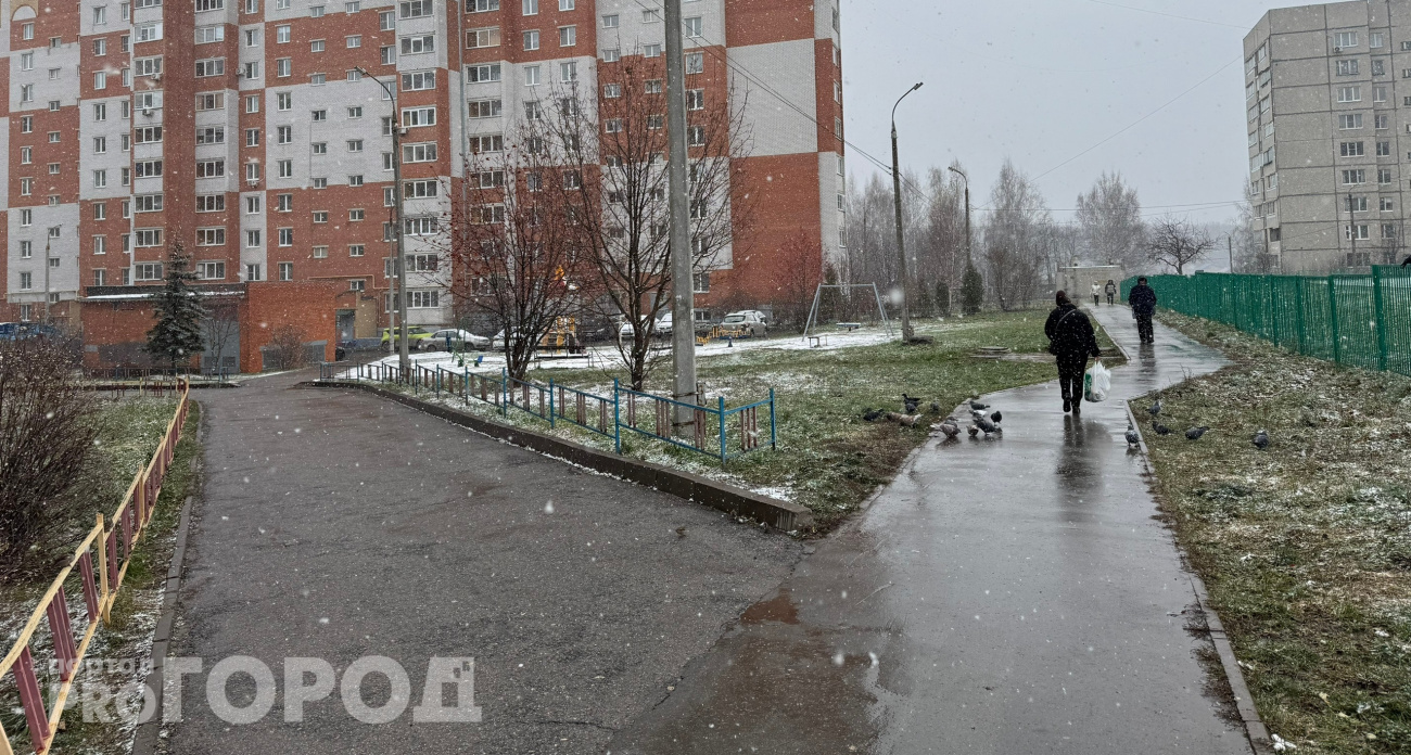 В Чувашии 1 декабря ожидается дождь с мокрым снегом