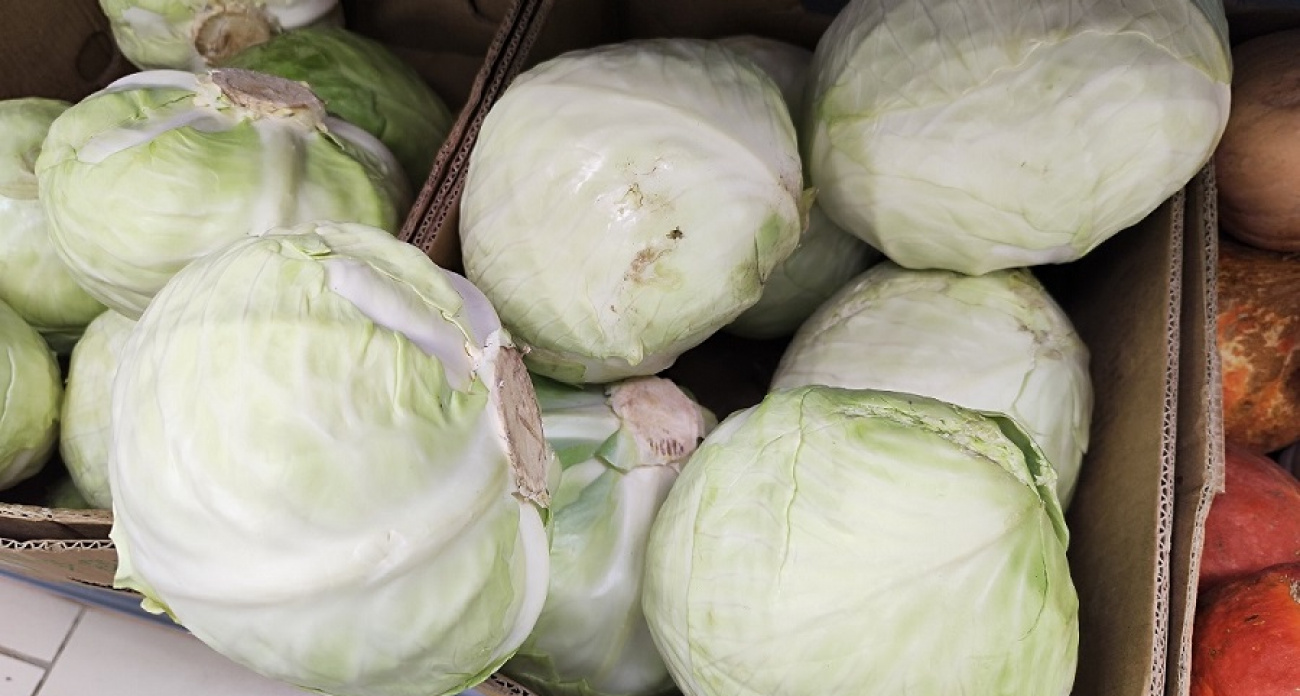 Капусту квашу по одному способу: получается хрустящая, ароматная и идеально соленая