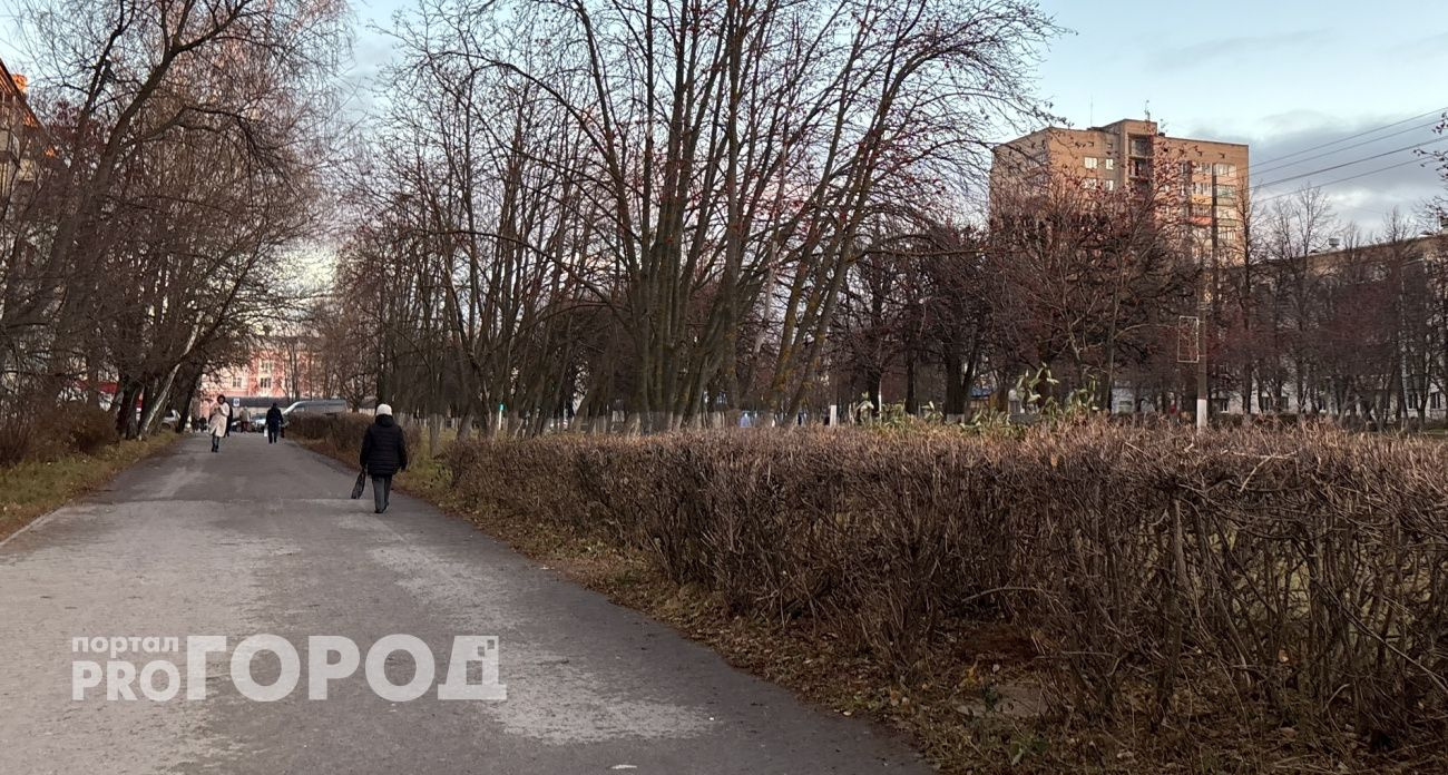 В Чувашии 5 декабря ожидается переменная облачность без осадков