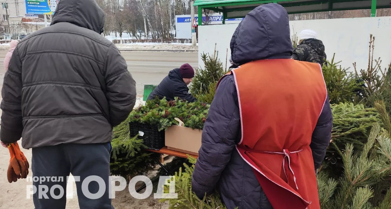 С 1 декабря жильцам многоквартирных домов грозит штраф за новогоднюю елку - под удар попадут все
