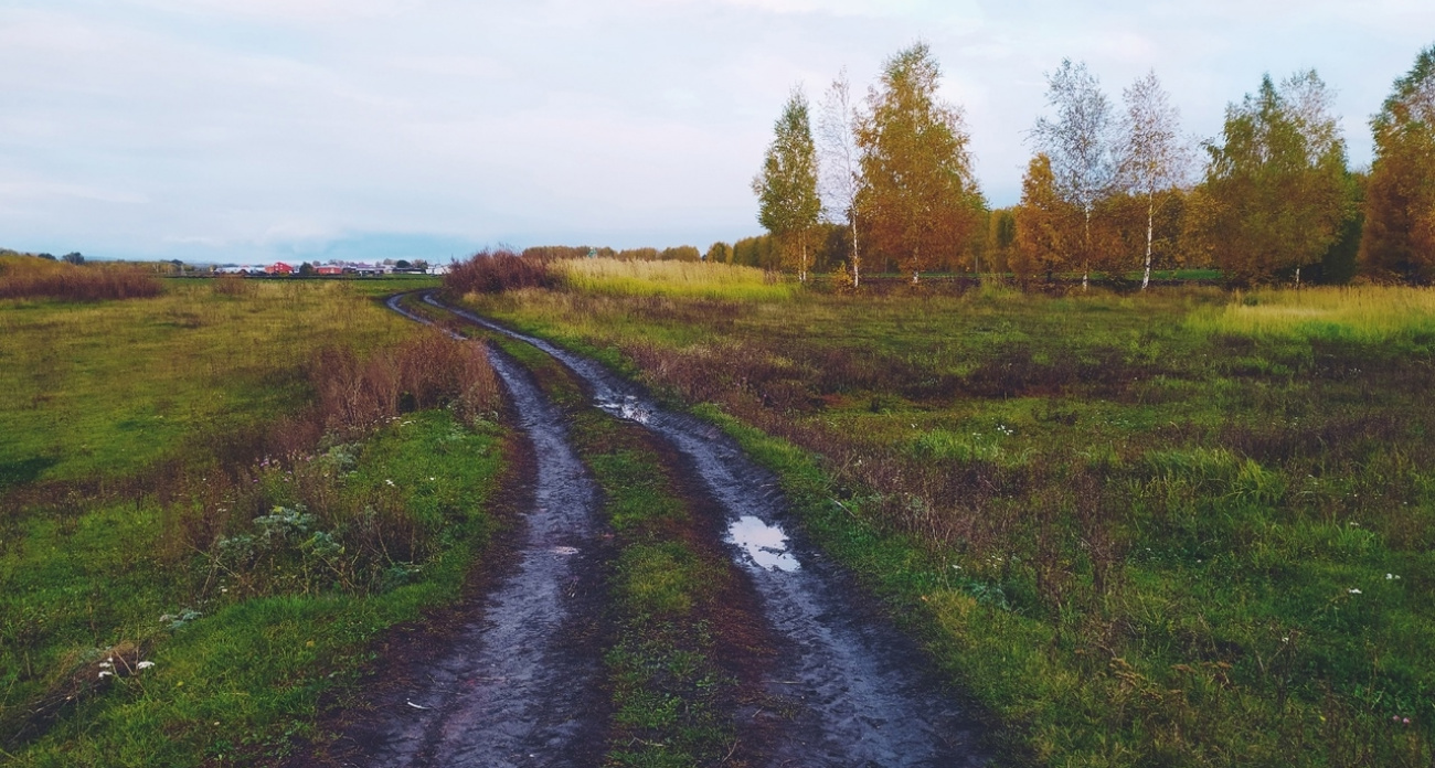 В Чувашии оштрафовали владельцев 36 гектаров сельхозземель за неуход за почвой