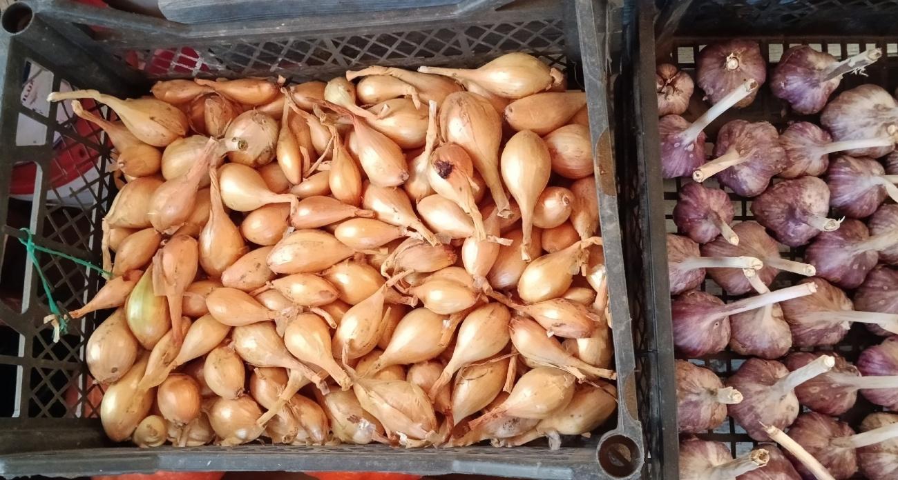 Каждую зиму выбрасывала испорченный лук, пока соседка не показала простой способ: теперь лежит до нового урожая