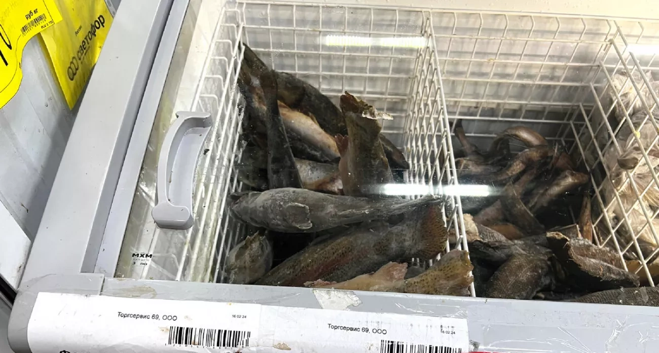 Купил форель в Светофоре ради икры на праздничный стол — делюсь результатом эксперимента