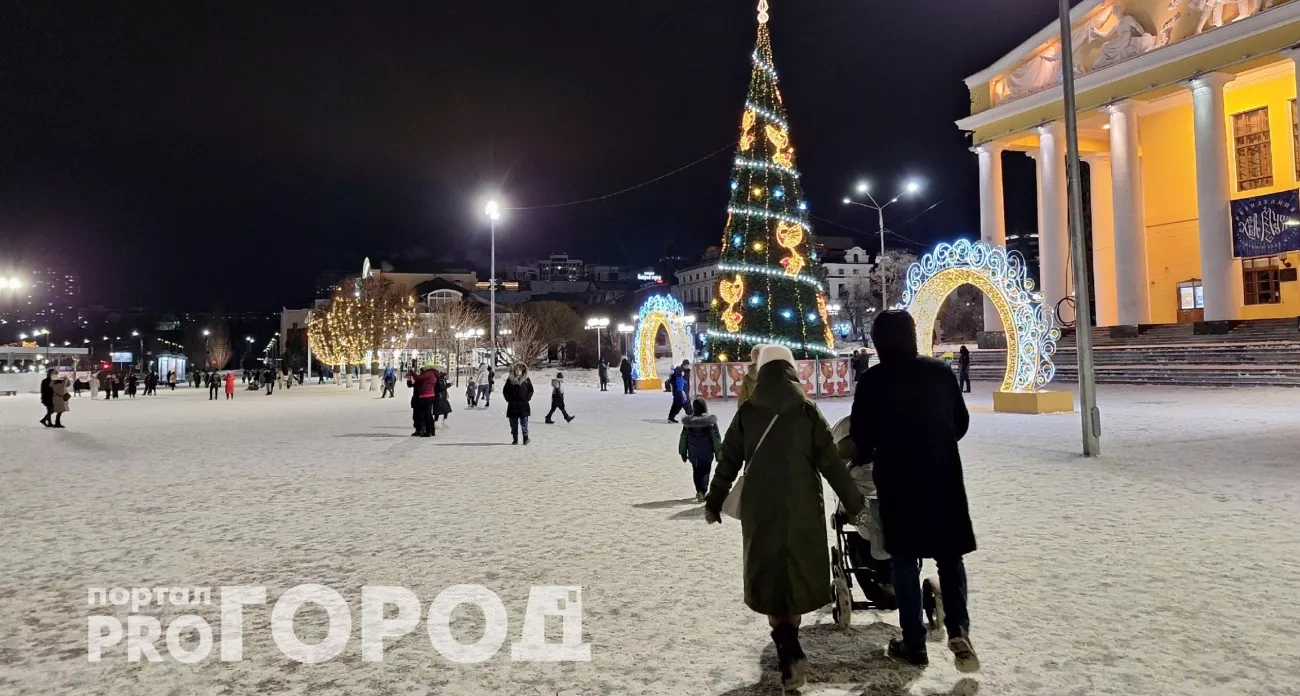 Мороз, дождь или гололедица: прогноз погоды для центральных регионов России в новогодние праздники