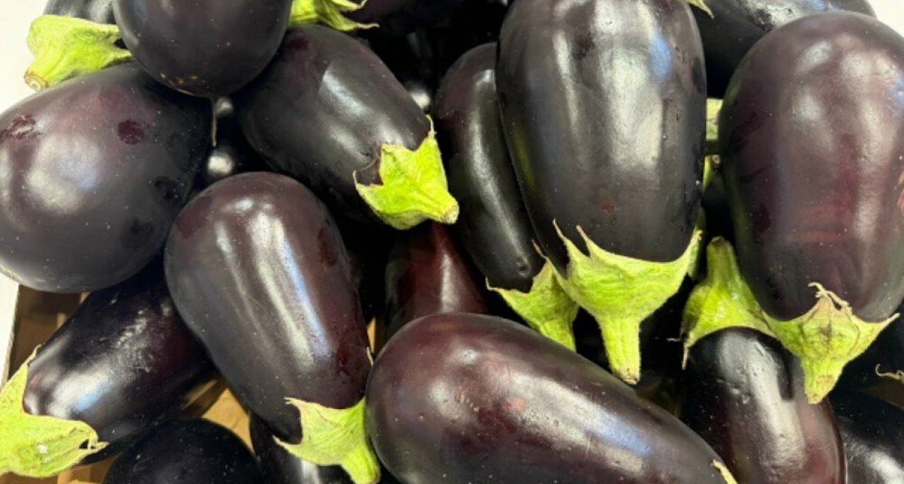 7 килограммов урожая: мои надежные сорта баклажанов, которые плодоносят до заморозков