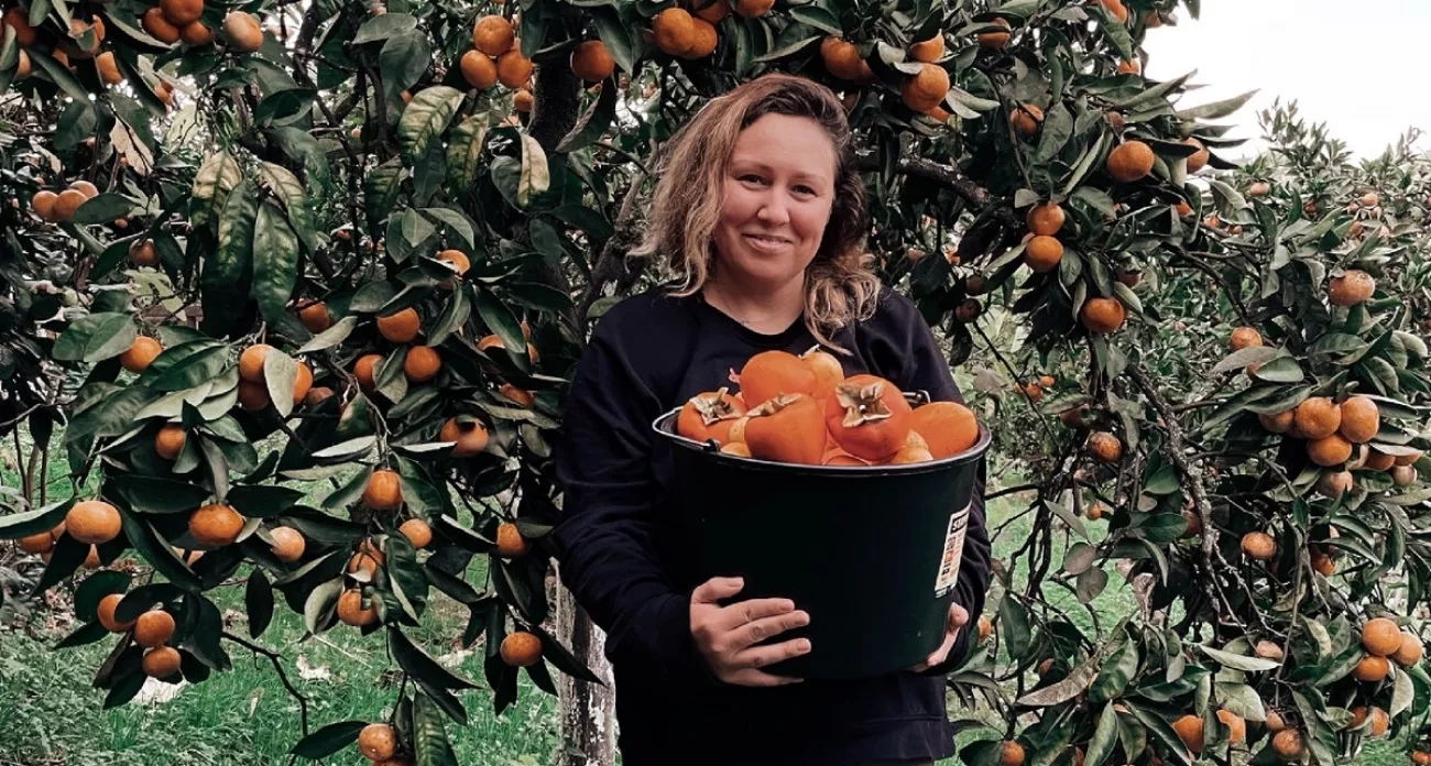 Поехала в Абхазию собирать фрукты на заработок: делюсь реальными цифрами дохода