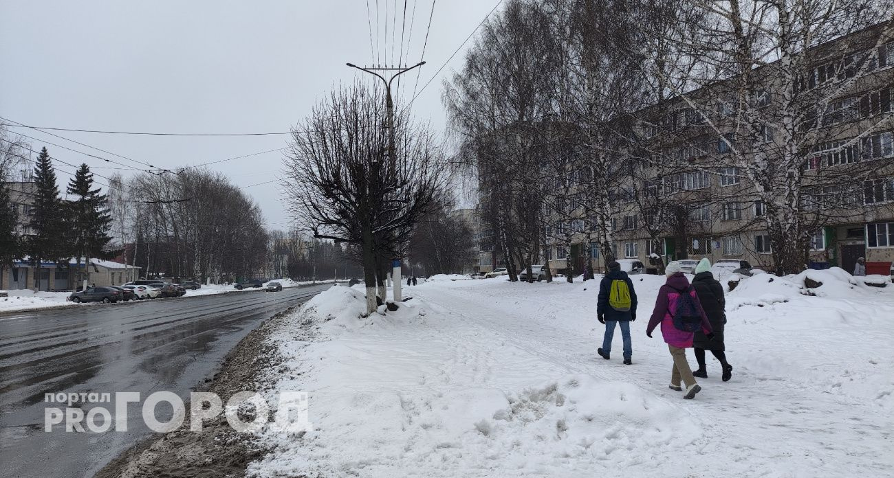 Многодетные семьи Чувашии с пятью детьми освободили от транспортного налога на микроавтобусы