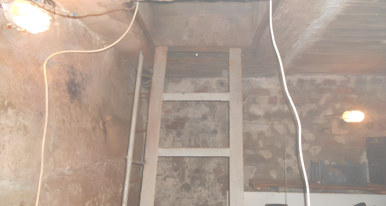 Конденсат в погребе больше не проблема: нашел проверенный способ из старого советского справочника