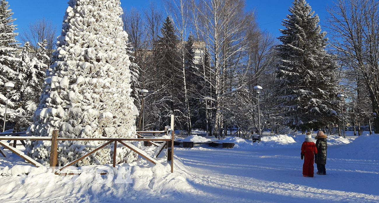 В Чувашии ударили первые зимние морозы до -30 градусов