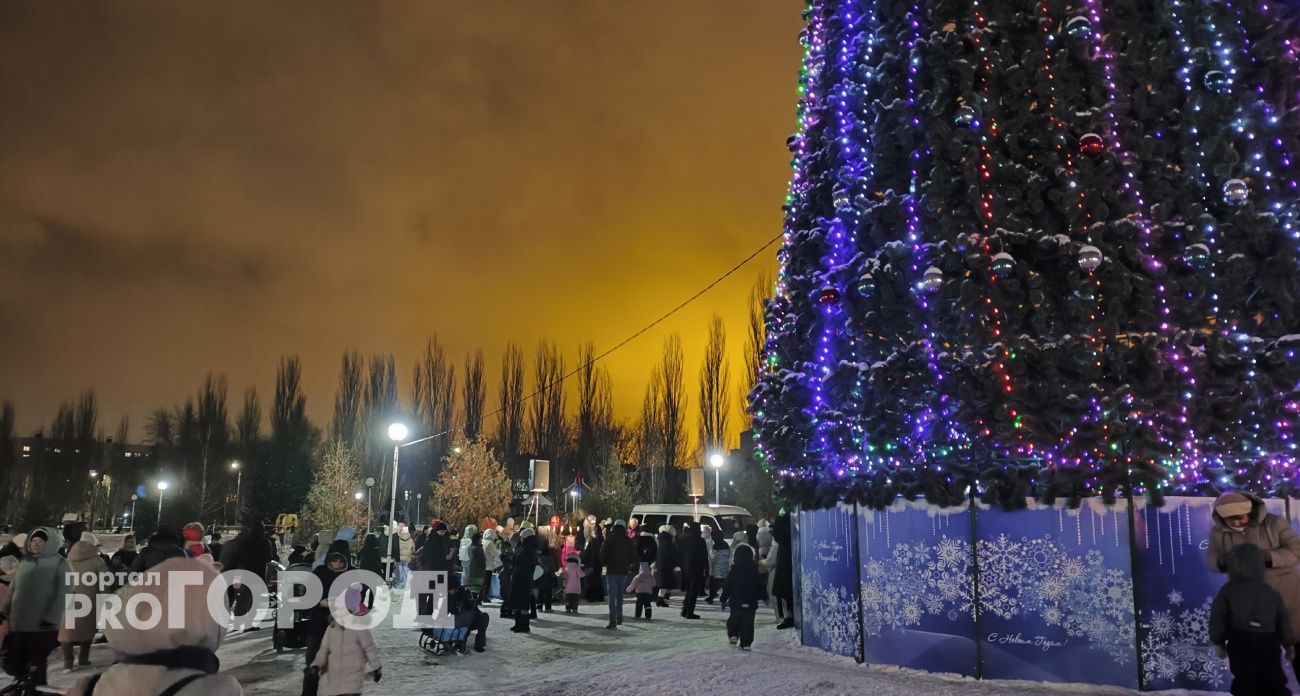 В Новочебоксарске рассказали, когда зажгут огни главной елки города