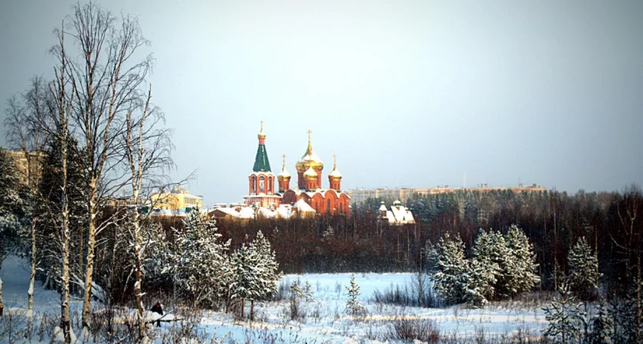 Метеорологи рассказали, что ждет погоду в новогоднюю ночь