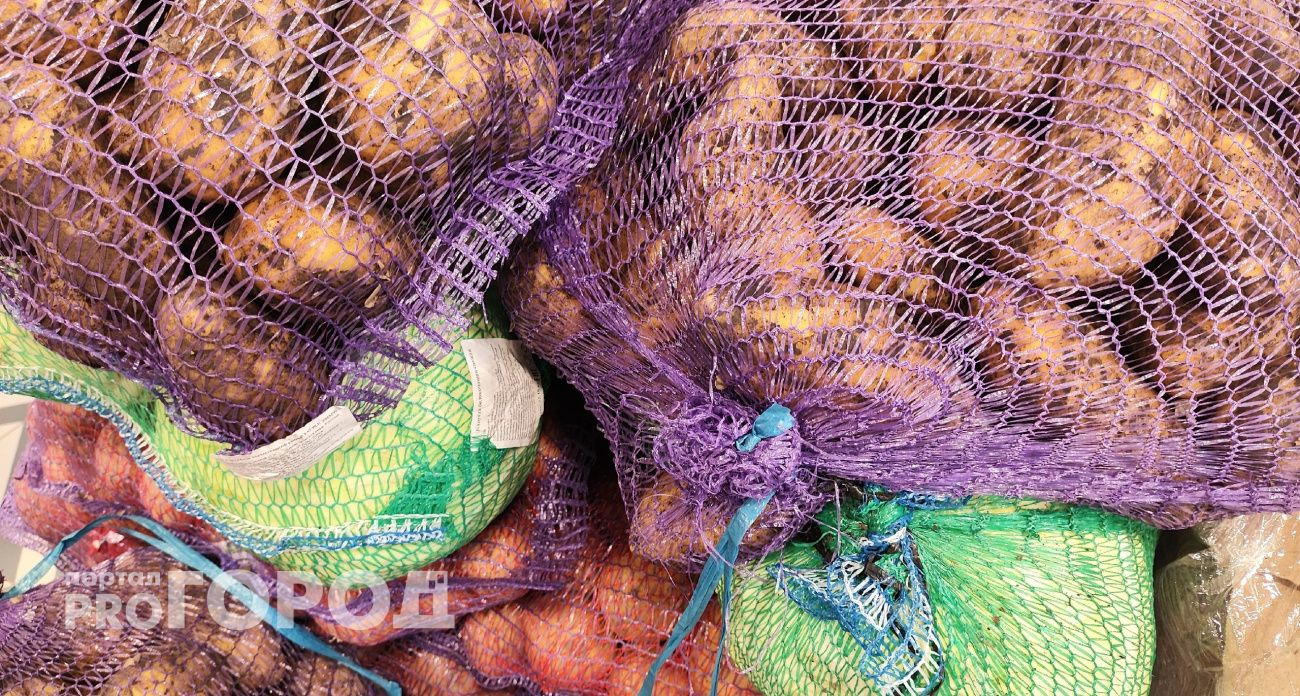 В Чувашии заложили на хранение более 160 тысяч тонн картофеля и овощей