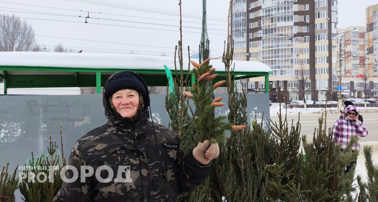 Елки, веники и валенки: как новочебоксарцы готовятся к празднику
