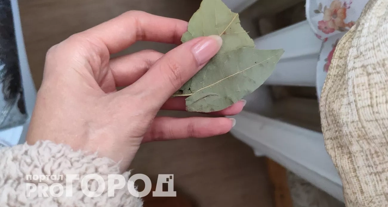 Когда на улице минус, положу лавровый лист на батарею и вся семья спрашивает, что изменилось в доме