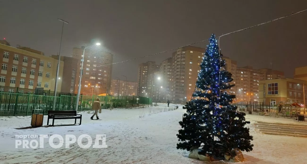 Штрафы за нарушения в новогодние праздники и рейды на продавцов пиротехники: главные новости за 29 декабря в Новочебоксарске