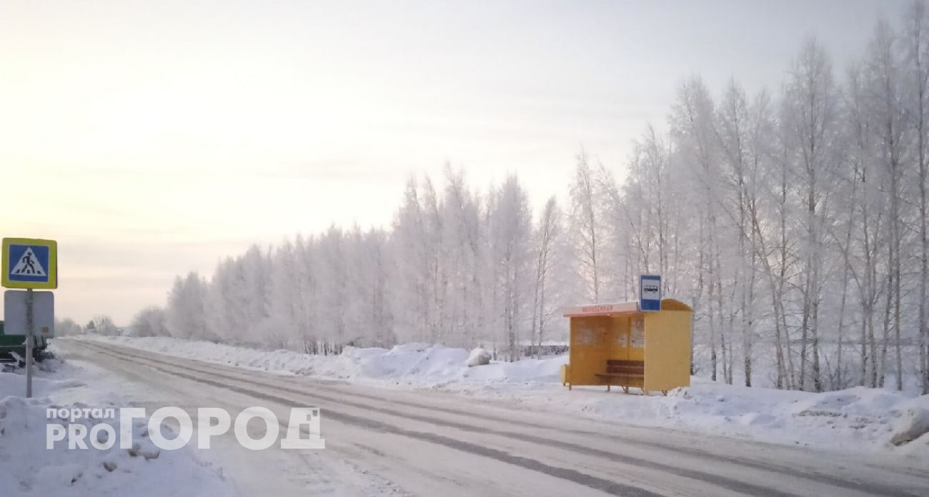 В Чувашии объявлен желтый уровень опасности из-за метели и гололедицы