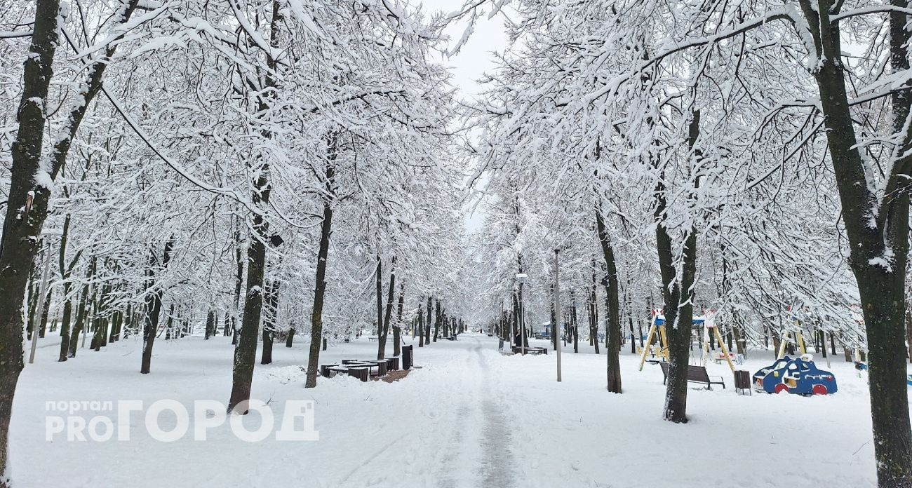 В Чувашии 11 января ожидается небольшой снег и морозы до -12°С