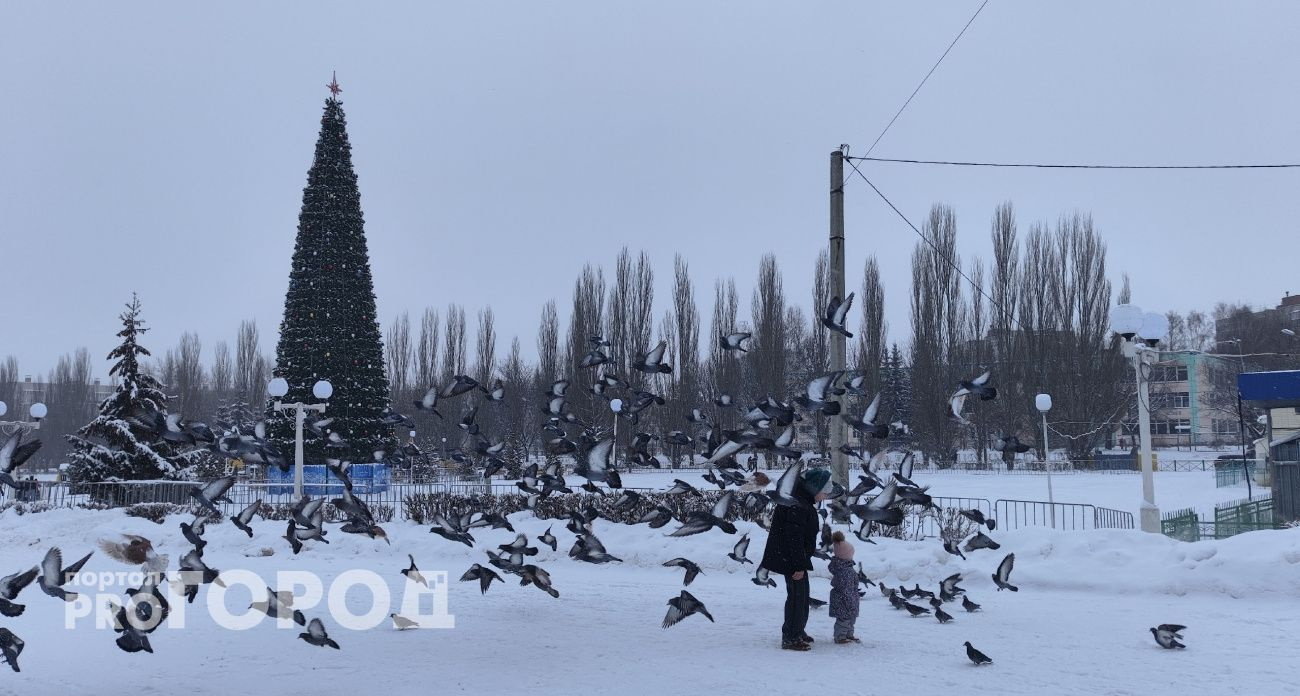В Чувашии ожидается снегопад и гололедица