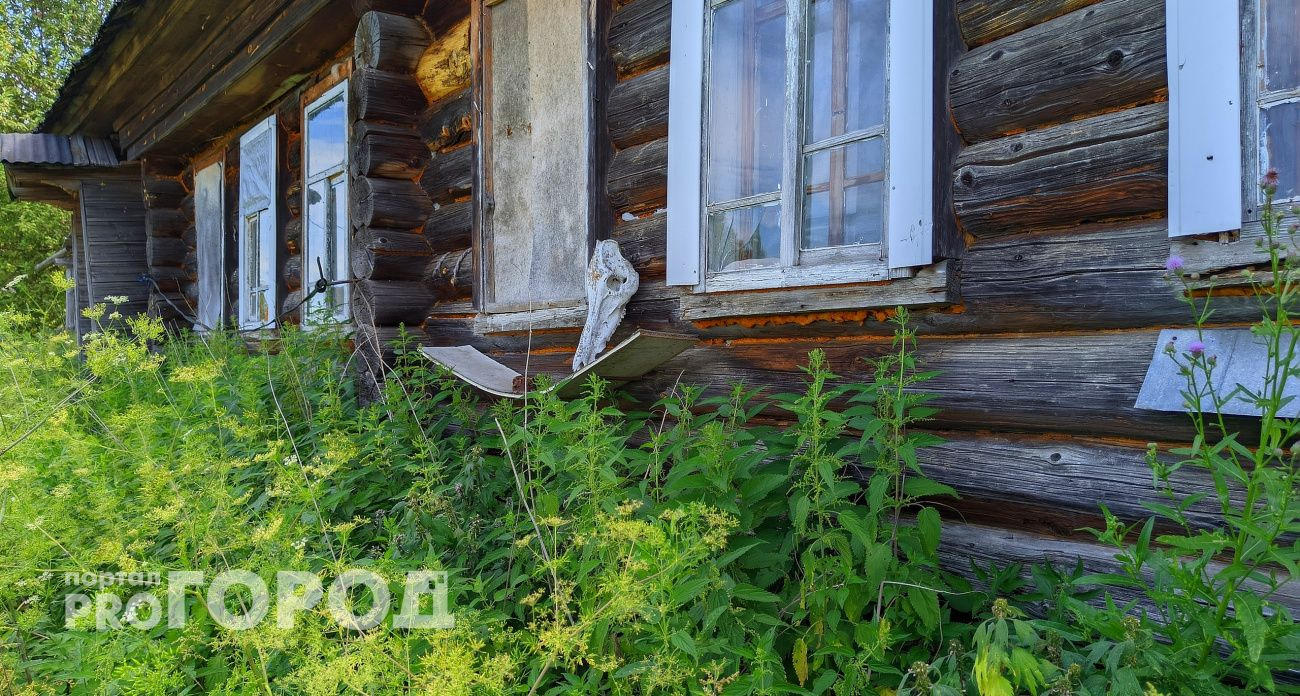 Кувалда, Безбожник и Юность: деревни-призраки, затерянные в лесах Чувашии, и как до них добраться