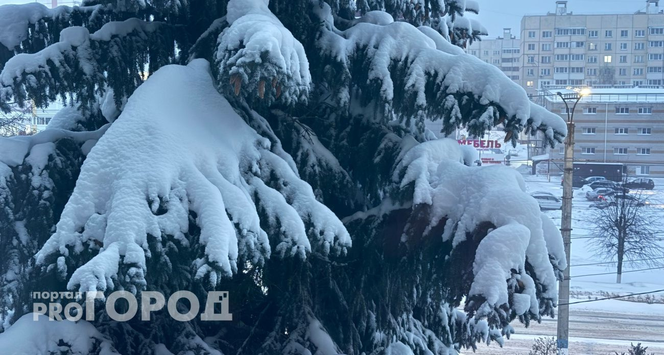 Утихнут ли ветер и метель: погода в Чувашии 28 января