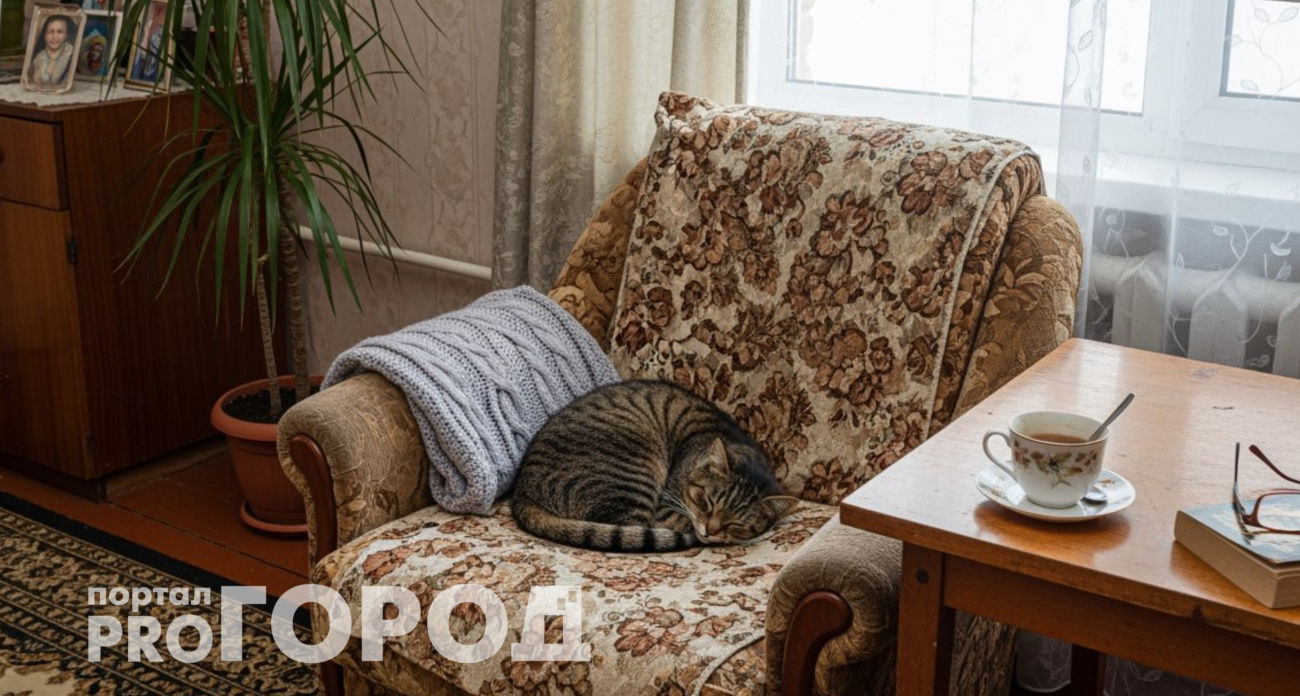Кошки чувствуют плохих людей: один жест, по которому это сразу видно
