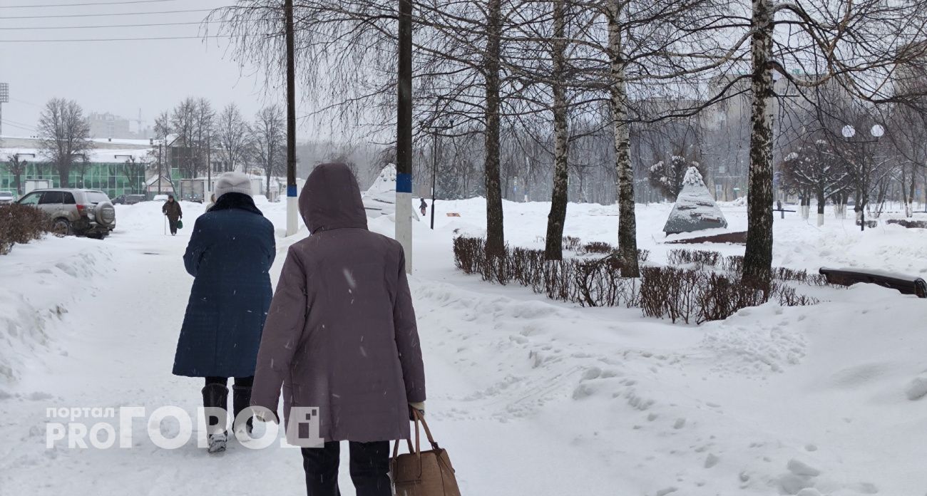 Возможность потерять кладовку вынудила новочебоксарку погасить свой долг перед банками