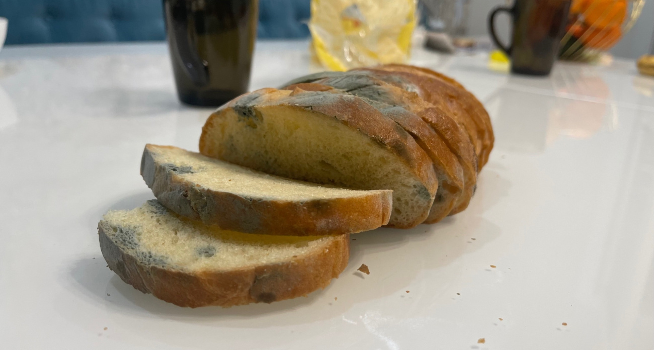 Никакой плесени на хлебе: французские хозяйки уже давно пользуются этим лайфхаком, а мы и не знали