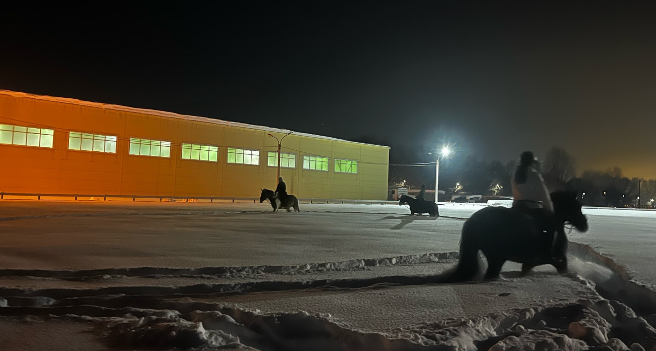 В Новочебоксарске дети участников СВО смогут прокатиться на лошадях