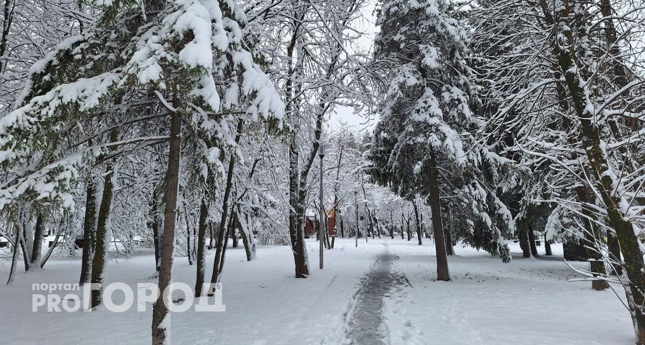 В пятницу Чувашию накроет мокрый снег с дождем, потеплеет до +1