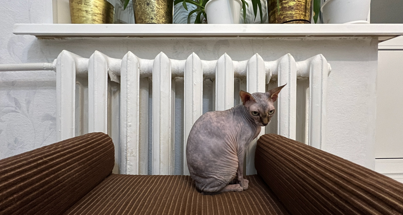 Советский лайфхак для отопления: можно отапливать дома за копейки, даже когда на улице мороз