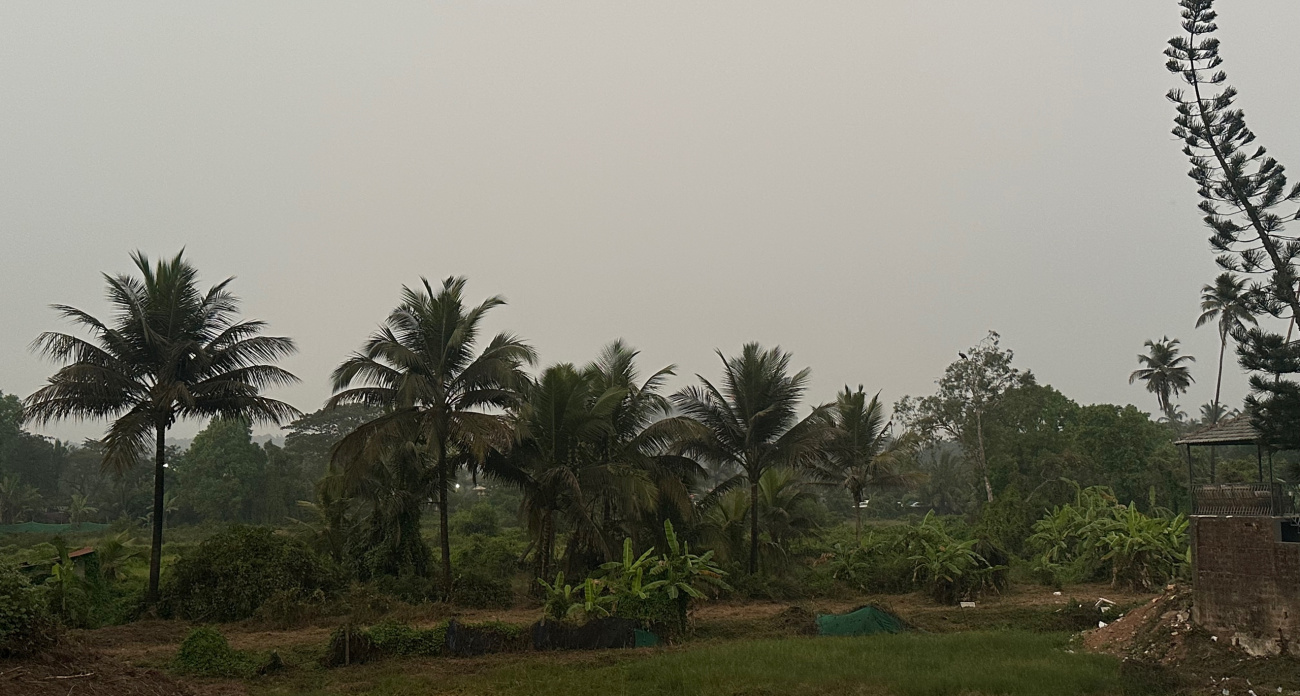 В декабре — толпы и бешеные цены, в апреле — рай в одиночестве: турист раскрыл правду про Хайнань