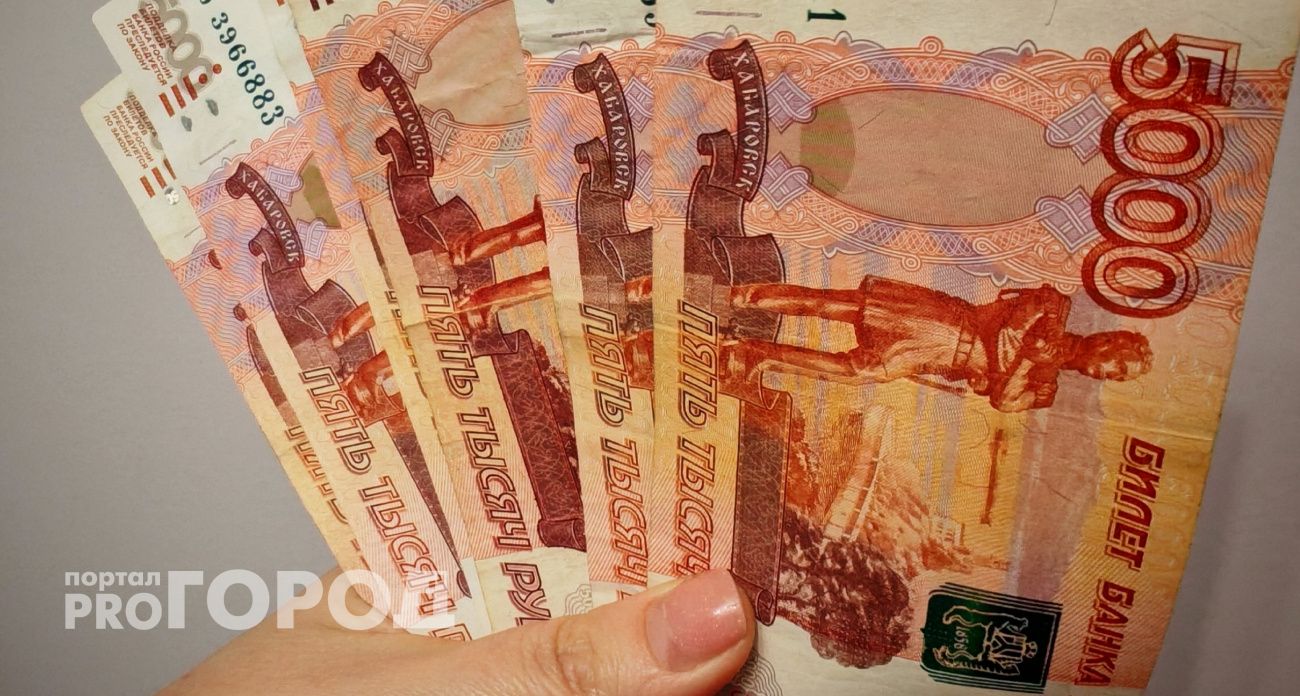 Новочебоксарку наказали за полученные обманом государственные деньги