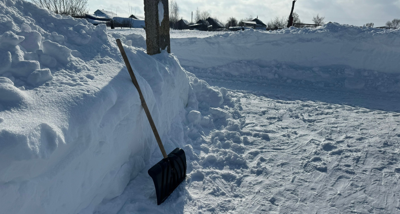 От Арктики до плюса: Россия встала на погодные грабли — куда-то приходят морозы, а где-то врываются дожди