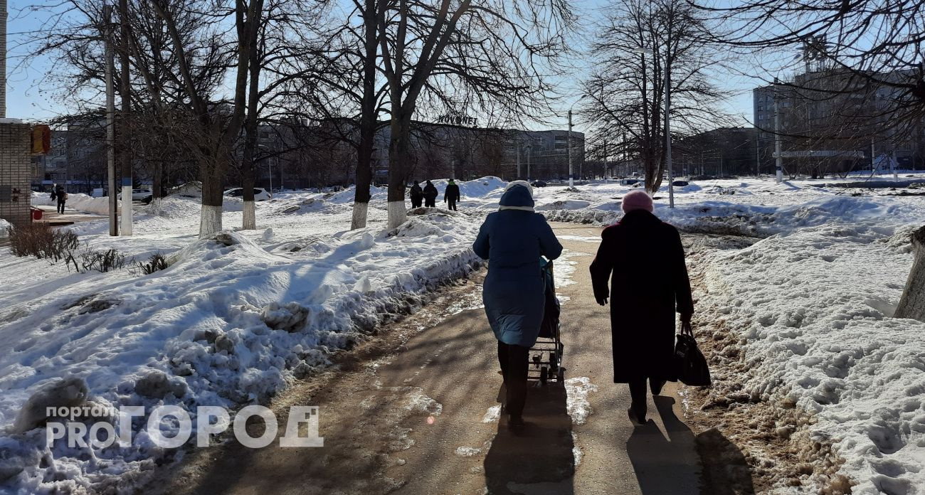 В Чувашии запустили цифровую карту с мерами поддержки, выплатами и записями в секции