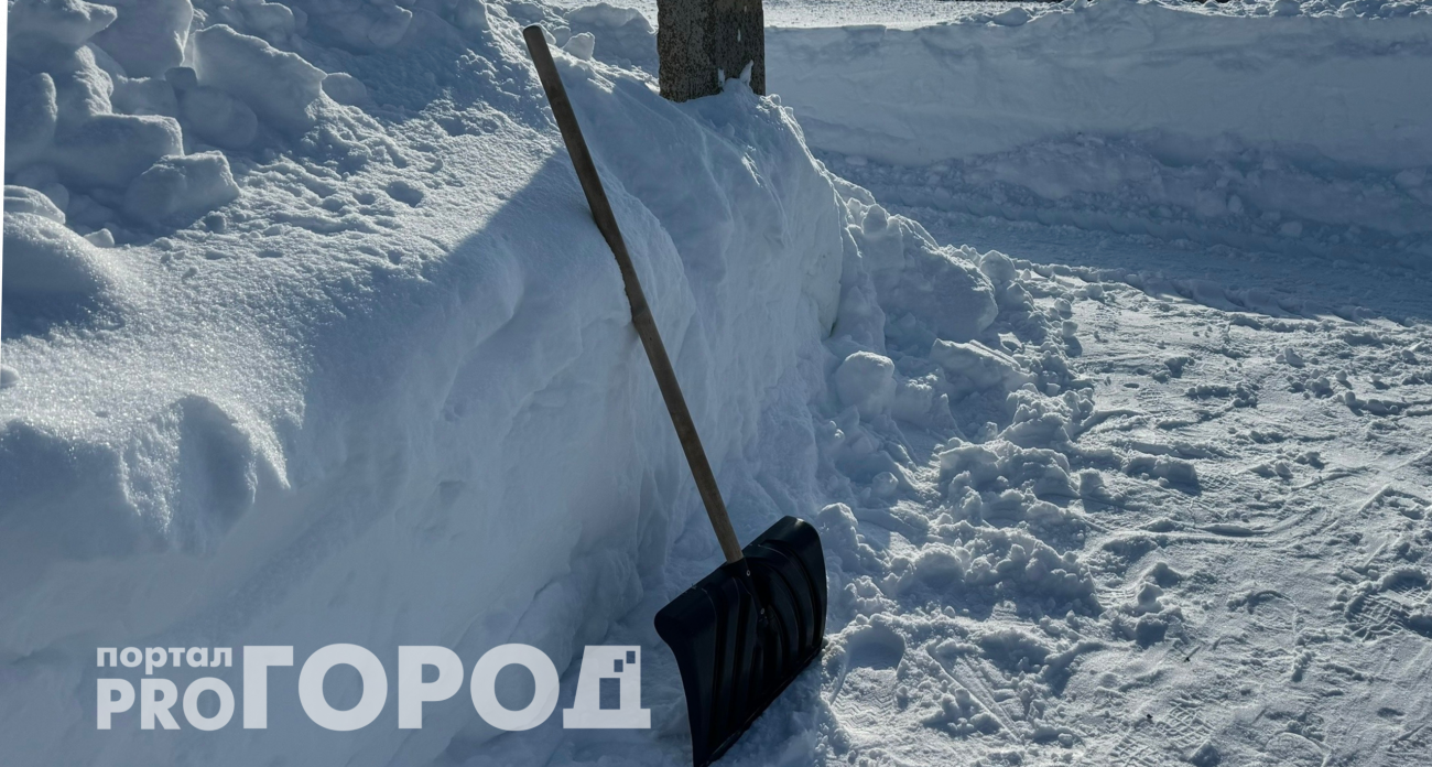 «Аномалия за аномалией»: эксперт рассказал, чем обернется холодная зима для лета в России