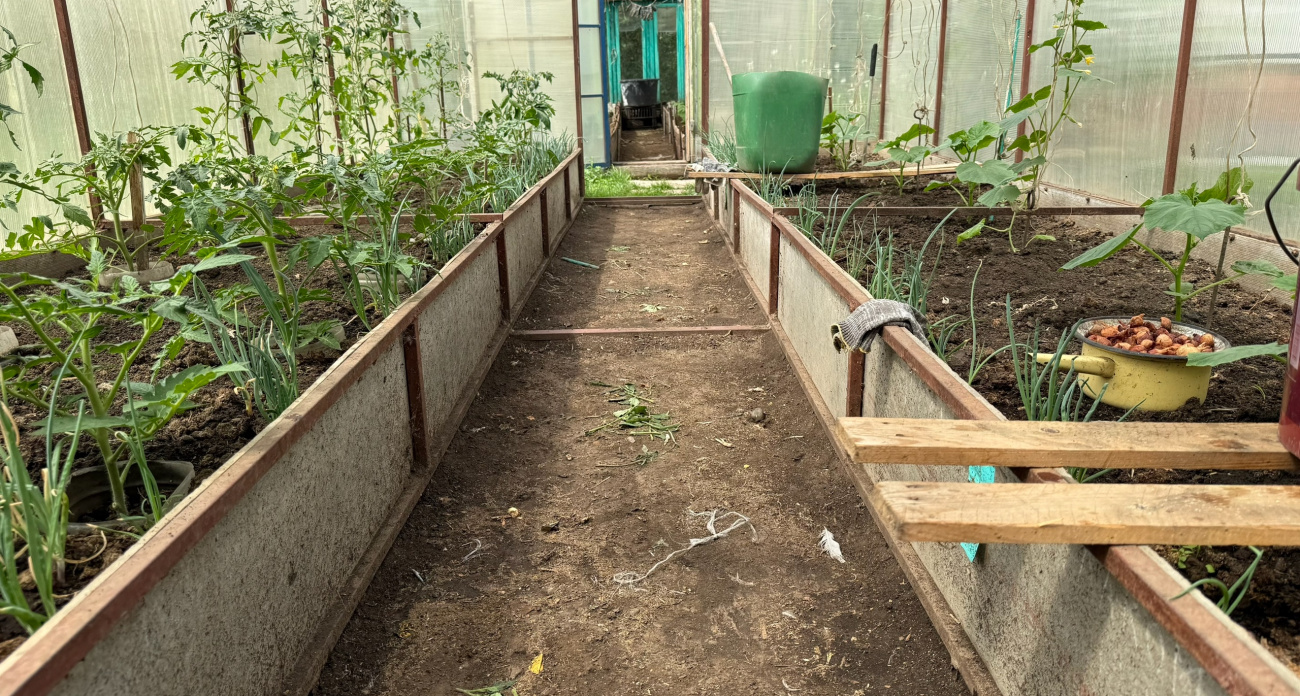 Зимняя отапливаемая теплица своими руками: пошаговая инструкция для богатого урожая круглый год