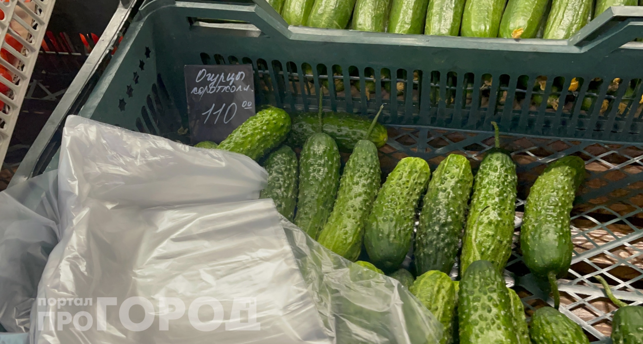 Длинные или короткие: врачи и агрономы объяснили, какие огурцы выгоднее брать