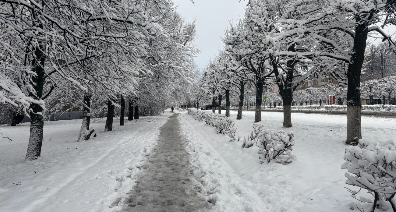 Снег решил задержаться: синоптики назвали дату, когда сугробы начнут таять — до апреля придется потерпеть
