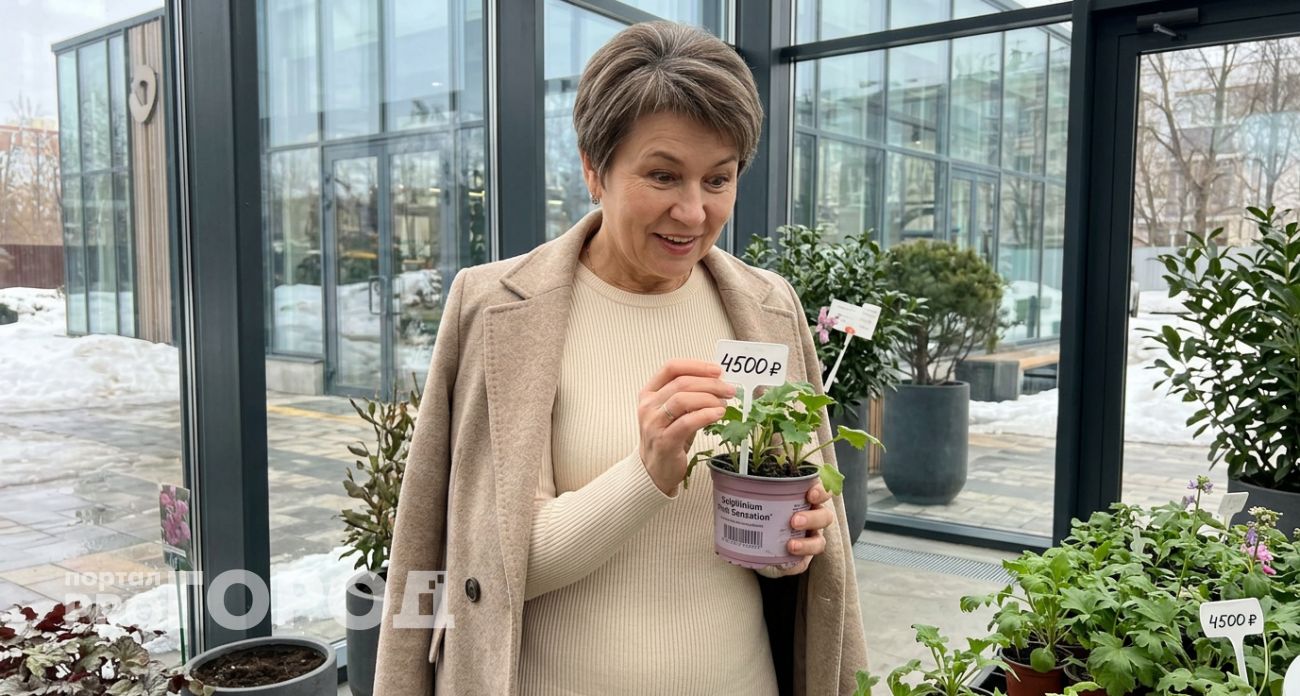 Бабушкины цветы которые в 2026 году стоят целое состояние в элитных питомниках