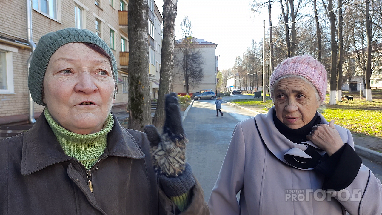 Новочебоксарцев атакуют стаи бродячих собак: "У моей дочери пес вырвал кусок мяса на ноге"