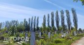 В Новочебоксарске в Родительскую субботу и на Троицу все городские маршруты, кроме одного, поедут на кладбища