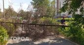 В Новочебоксарске спиливают опасные, сухие и больные деревья