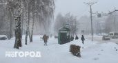 В Чувашии 30 декабря ожидается мокрый снег и туман