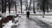 В Чувашии 27 января ожидается снег с дождем