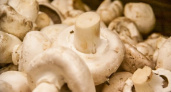 Как правильно обработать шампиньоны для готовки: советы на будущее