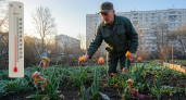 Аномальные заморозки вернутся и погубят весь урожай: Вильфанд предупредил россиян о погодном испытании