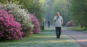 Холода вернутся перед летом: заморозки и похолодание охватят половину России в конце мая