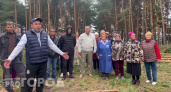 Жители деревни в Чувашии требуют остановить вырубку 11 гектаров леса