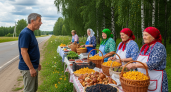 Туриста из Германии удивила торговля грибами и ягодами на обочинах дорог в России