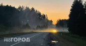 В Чувашии объявлен желтый уровень опасности из-за тумана